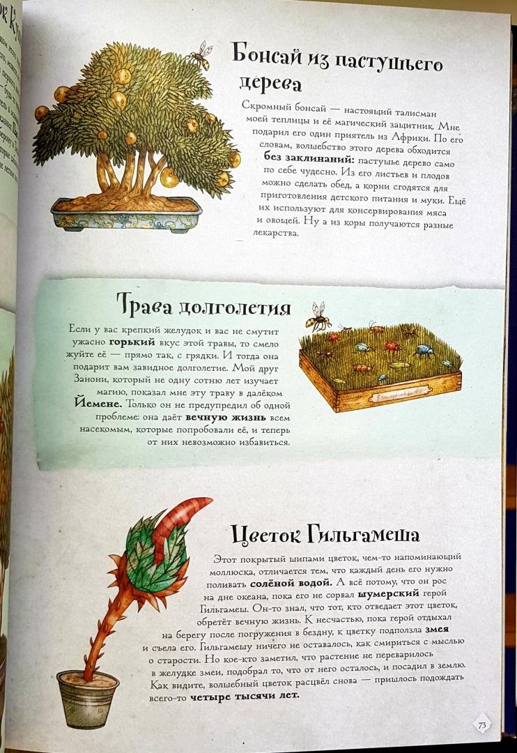 Дом, где живет магия — изображение 9