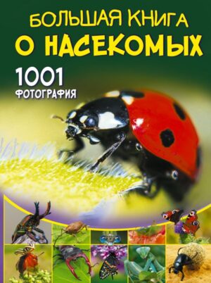 Большая книга о насекомых. 1001 фотография