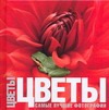 Цветы. Самые лучшие фотографии