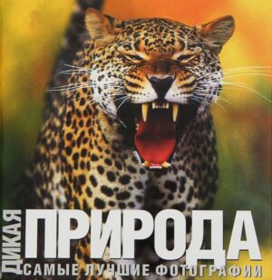 Дикая природа
