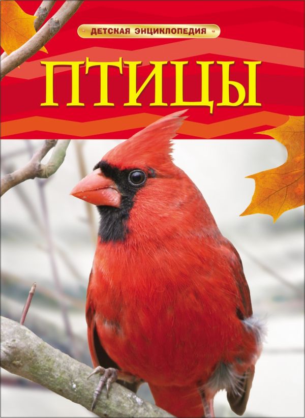 Птицы. Детская энциклопедия