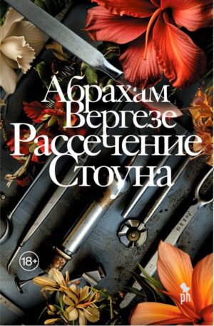 Рассечение Стоуна