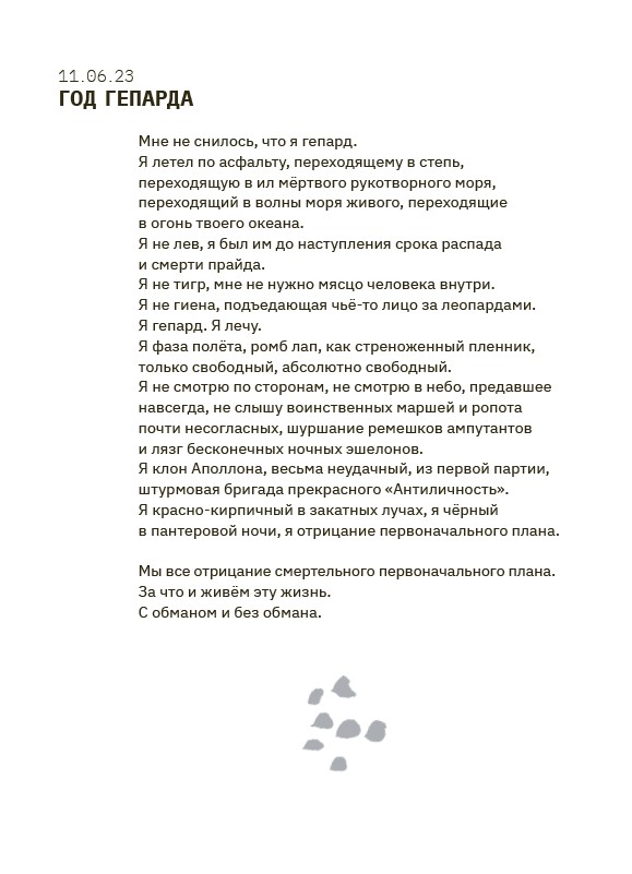Год гепарда — изображение 9