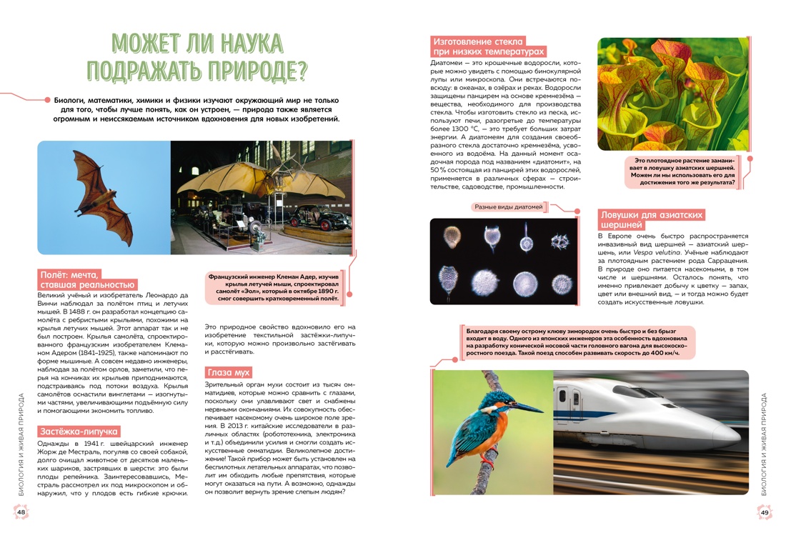 Школьная энциклопедия. 50 неразгаданных загадок науки — изображение 6