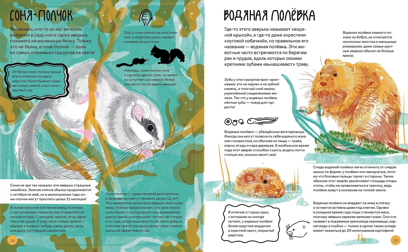 Вот так капибара : необыкновенные грызуны и их родственники — изображение 7