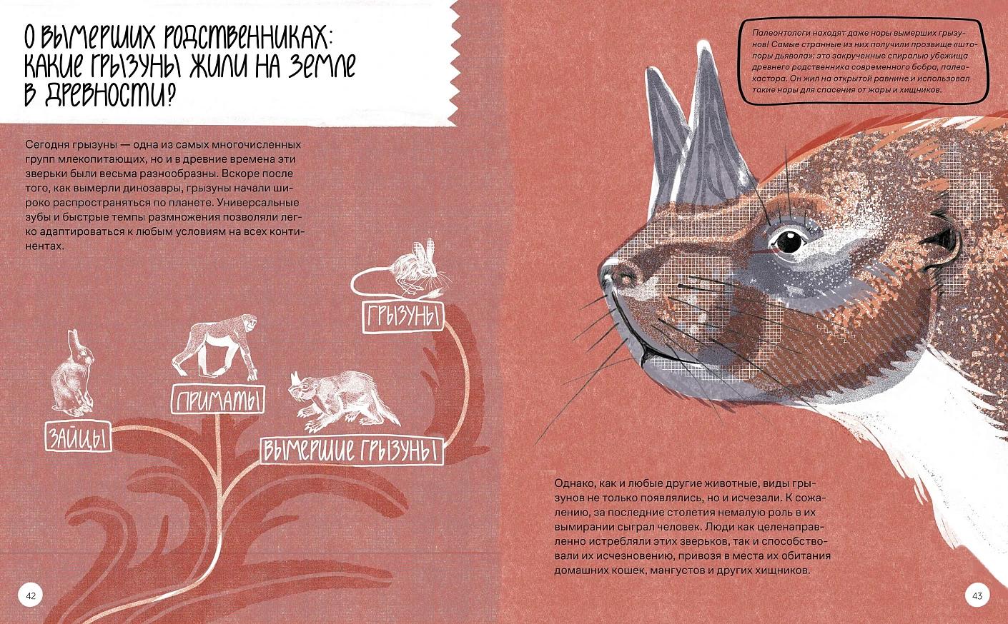 Вот так капибара : необыкновенные грызуны и их родственники — изображение 8